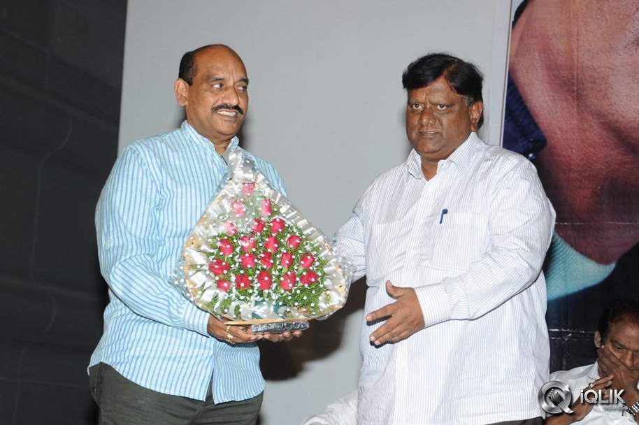 Bachchan-Movie-Platinum-Disc-Function